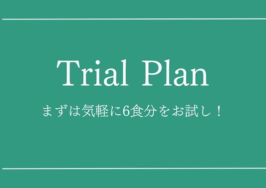 お弁当のお便り Trial plan（６食分）